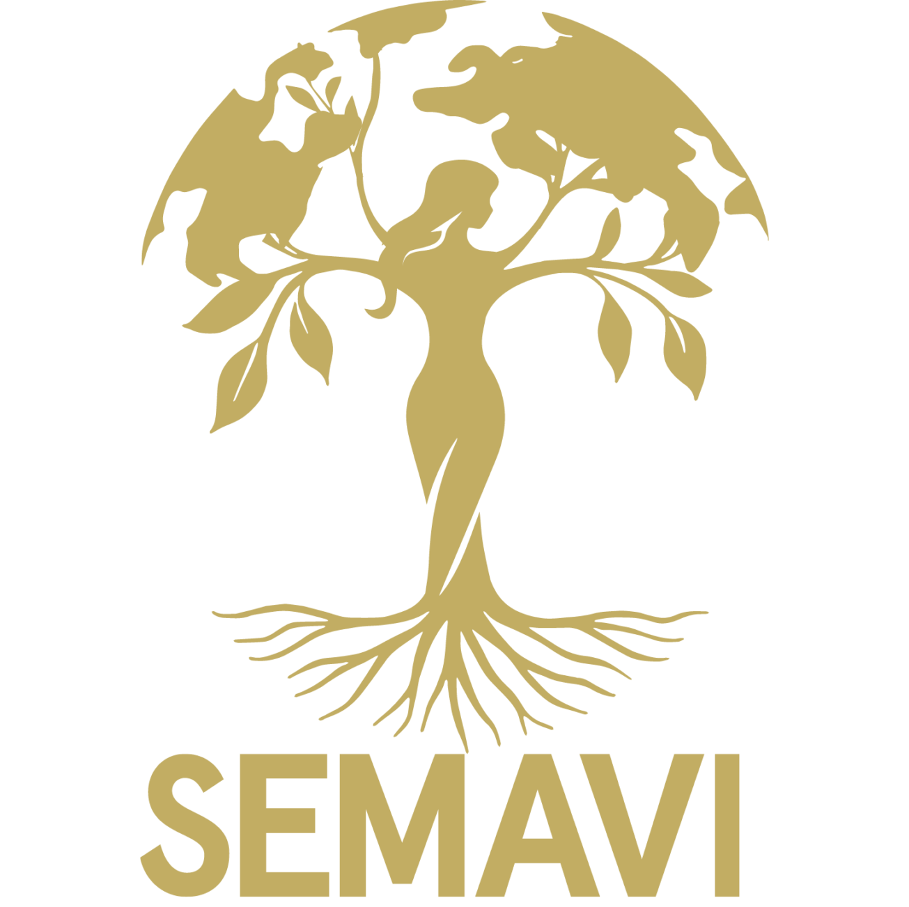 Semavi Cosmetics Trading Company